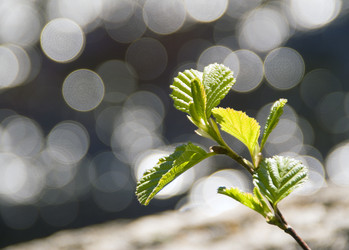 Similar image 2865791