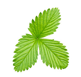 Similar image 2865825