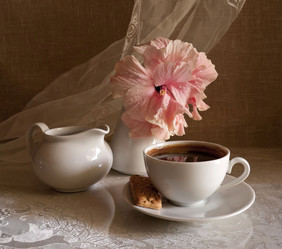 Similar image 2865826