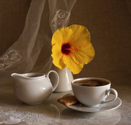 Similar image 2865827