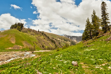 Similar image 2865839