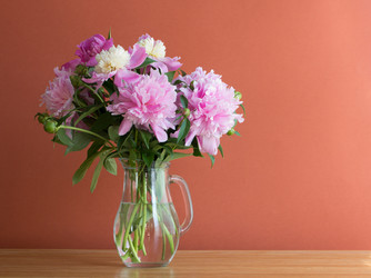 Similar image 2865849