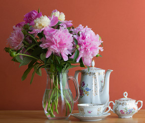 Similar image 2865850