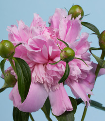 Similar image 2865858