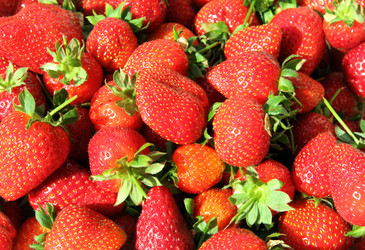 Similar image 2865890