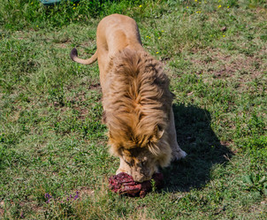 Similar image 2865928