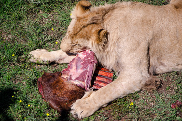 Similar image 2865929