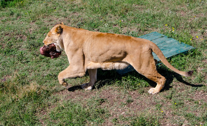 Similar image 2865932