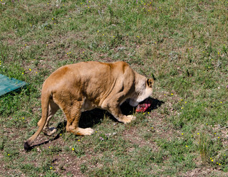 Similar image 2865933