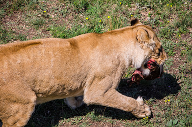 Similar image 2865934