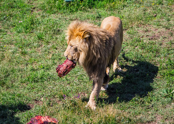 Similar image 2865935