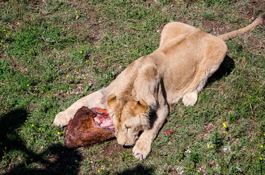 Similar image 2865937