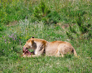 Similar image 2865938