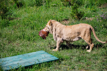 Similar image 2865939