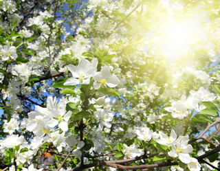 Similar image 2865942