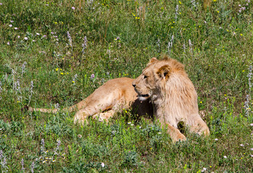 Similar image 2865952