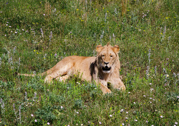 Similar image 2865958