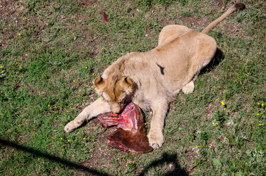 Similar image 2865961