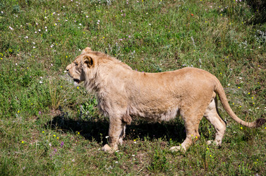 Similar image 2865972