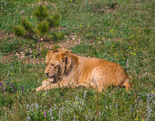 Similar image 2865975