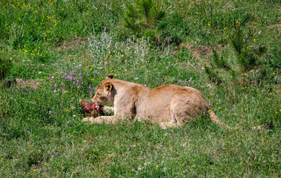 Similar image 2865978