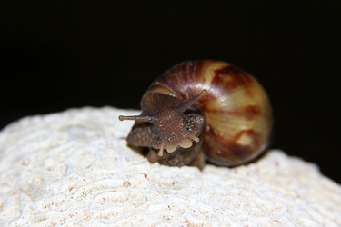 Similar image 2866055