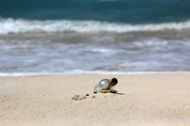 Similar image 2866056