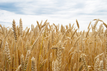 Similar image 2866084