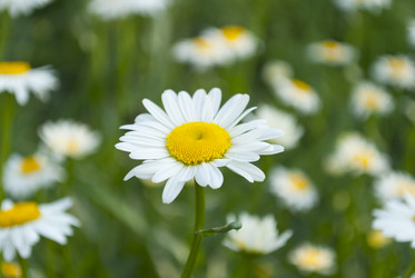 Similar image 2866089