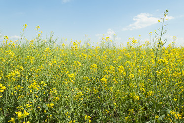 Similar image 2866090