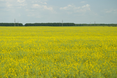 Similar image 2866097