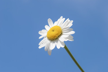 Similar image 2866105