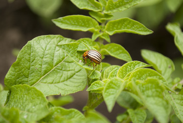 Similar image 2866108