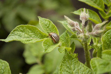 Similar image 2866110