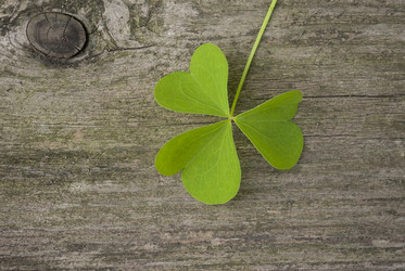 Similar image 2866111