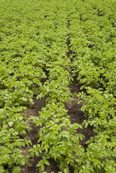 Similar image 2866112