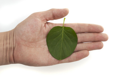 Similar image 2866113