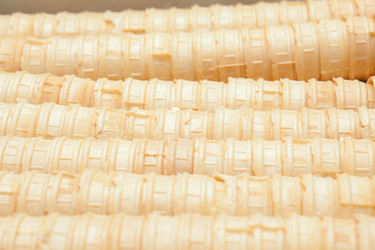 Similar image 2866283