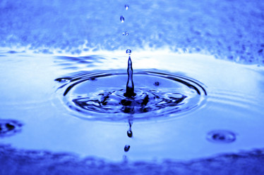 Similar image 2866733