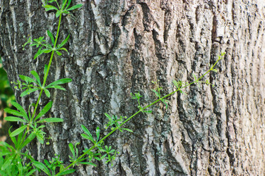 Similar image 2867987