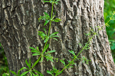 Similar image 2867988