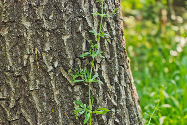 Similar image 2867989