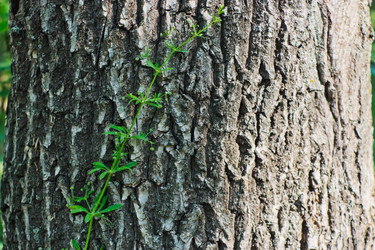 Similar image 2867990