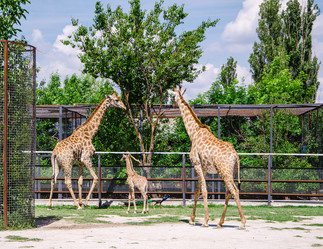 Similar image 2867999