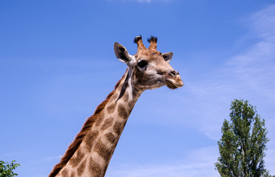 Similar image 2868008