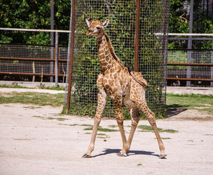 Similar image 2868014