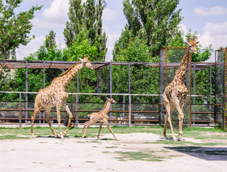 Similar image 2868016