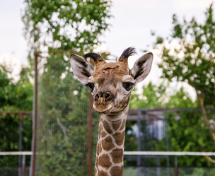 Similar image 2868040