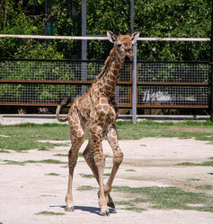 Similar image 2868041