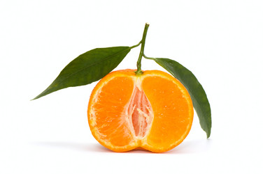 Similar image 2868085